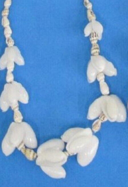 36" Leis Shell Necklace White, Tan & Brown Nassa & Bubble Shells