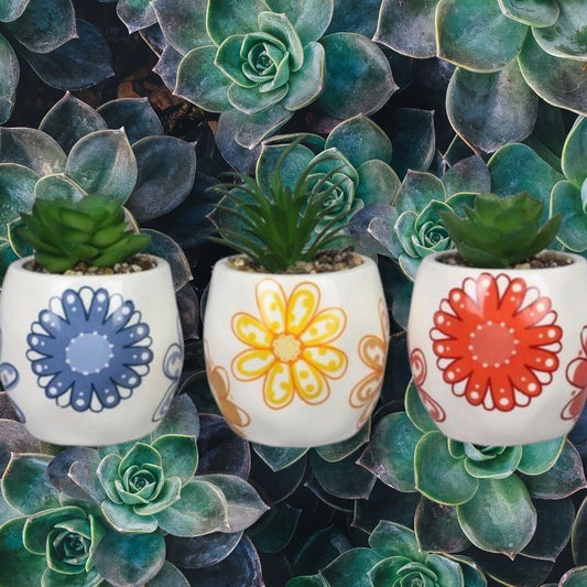 Small Artificial Succulent Plants in coloful Pots Set of 3