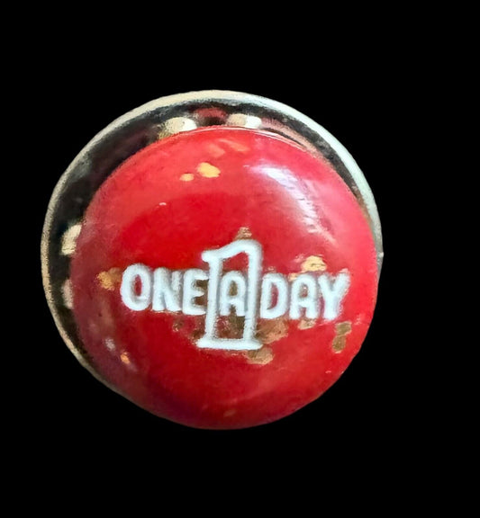 Vintage One a Day Vitaman Pin Tac